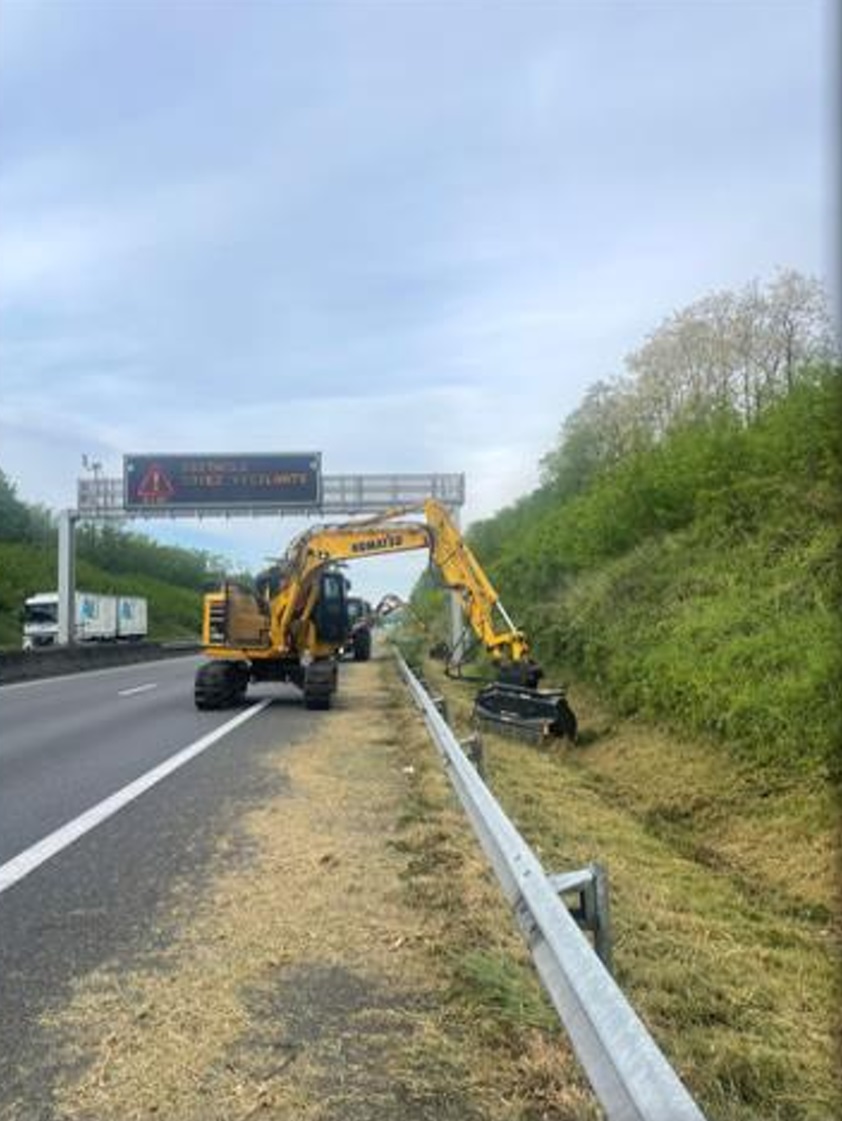 Elagage dans le 17-Abattage d'arbres-Rognage de souche 