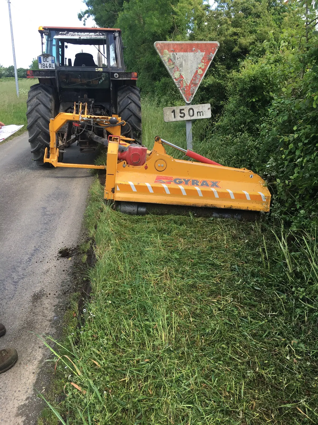 Fauchage Elagage dans le 17-Abattage d'arbres-Rognage de souche